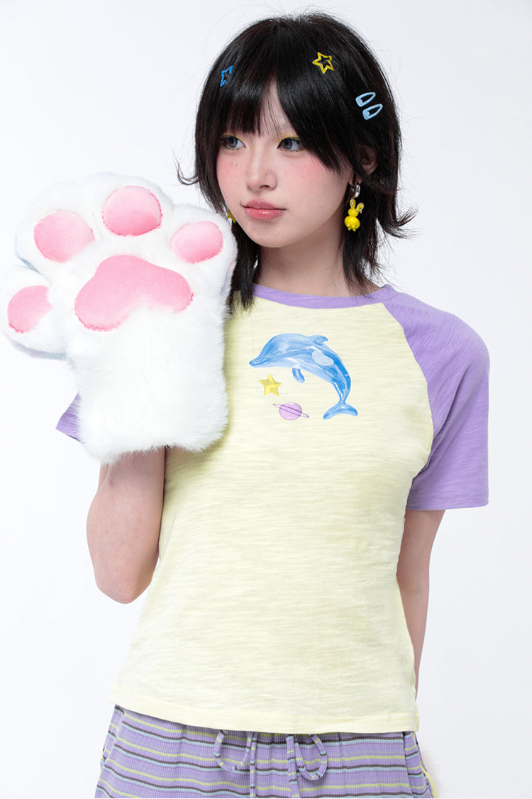 Dolphin T