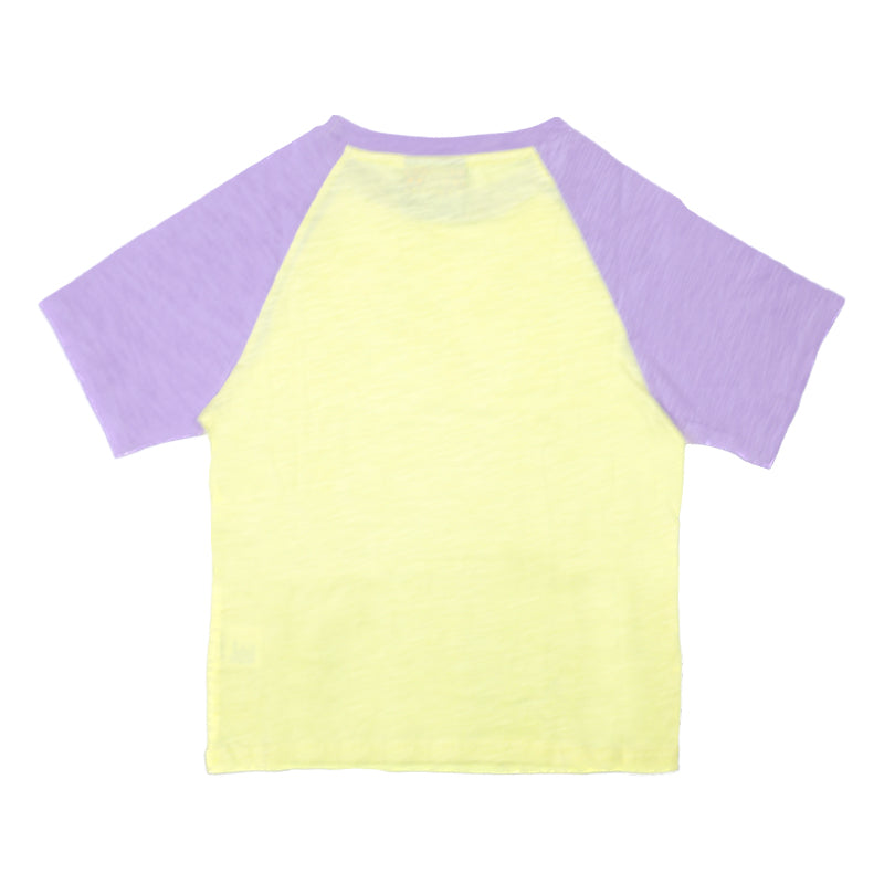 Dolphin T