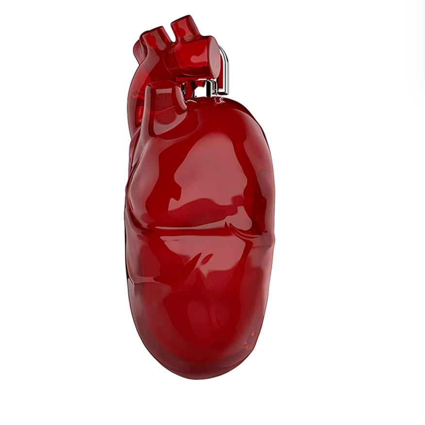 Heart airpod case