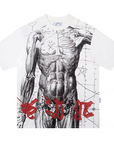 Body T