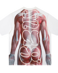 Muscle T
