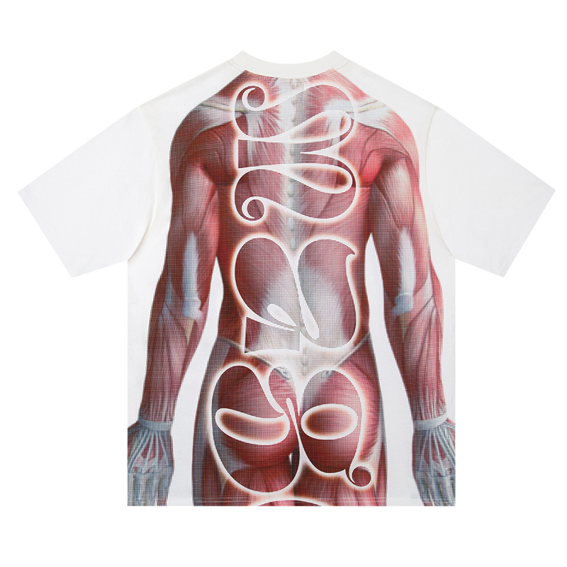 Muscle T