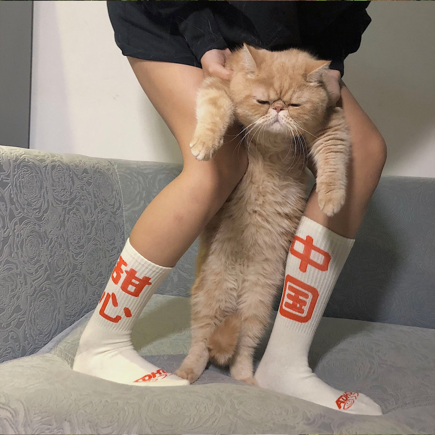 Sweet socks