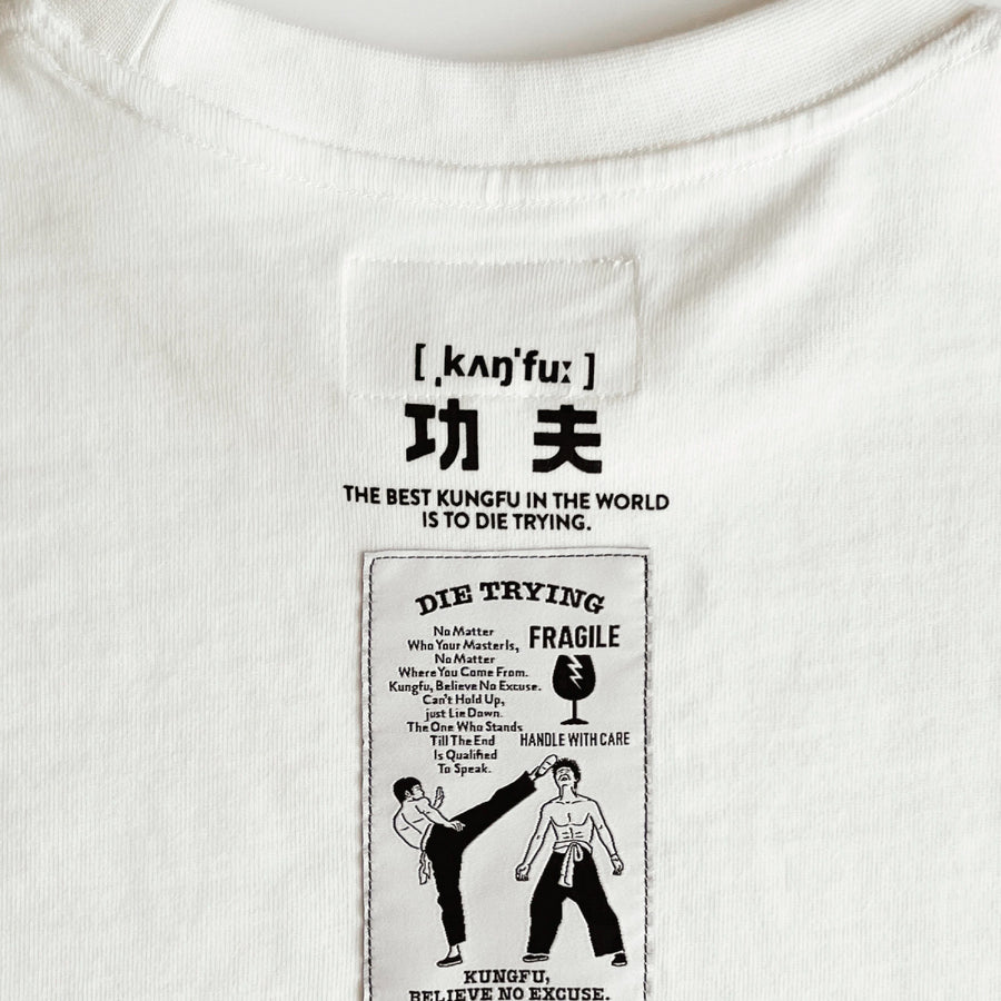 Kungfu T